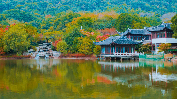 【张家港验客】慢游沙洲——一场邂逅江南秋天的旅行