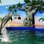 石家庄极地海洋世界