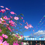 新安上马场