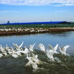 鹤鸣湖七彩庄园