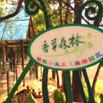 香草森林