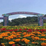 慢谷森林花园