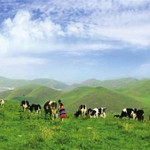 南山风景名胜区
