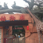 彩灯公园动物园