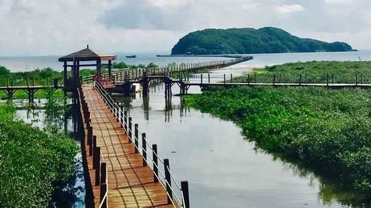 海陵岛红树林国家湿地公园门票