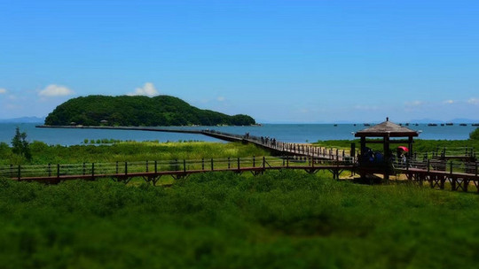 海陵岛红树林国家湿地公园门票