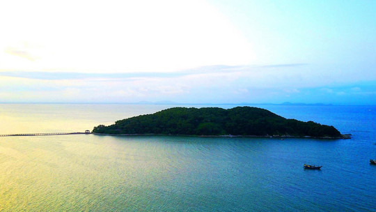 海陵岛红树林国家湿地公园门票