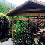山景豪宜温泉
