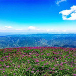 阿西里西▪韭菜坪景区