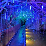 赛马天锅古洞景区