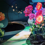 《我做了一个红楼梦》剧幕式互动光影艺术展