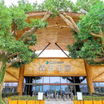 杭州开元森泊度假乐园