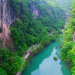 中亚楠木林景区