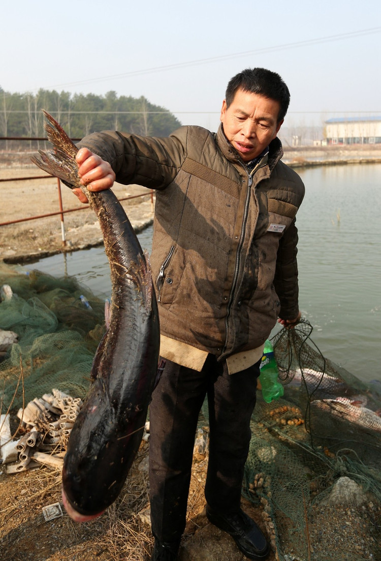 舞龙舞狮炖大鱼,云雾山的年过得好热闹