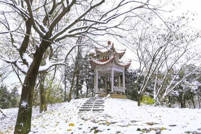 三台山关于冬天的仪式感,最后一个精彩!