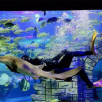 镜湖湿地海洋世界