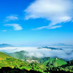 南山茶海景区
