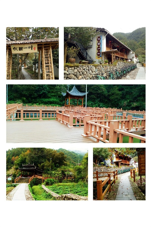 景宁旅游绿道明珠——田园伏叶 - 游记攻略【同程旅游攻略】