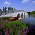 汶上莲花湖湿地景区