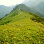 终南山秦楚古道