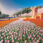 苏州上方山国家森林公园