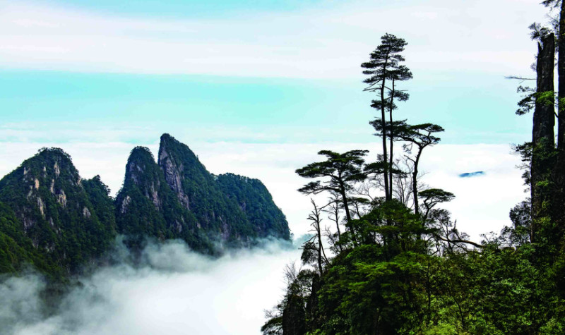 是您休闲娱乐的好去处 景点地址: 郴州市宜章县溶家洞(莽山景区东门)