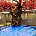 赤峰瑶池御水
