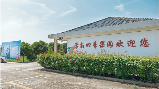 苏州三亩良铺四季果园