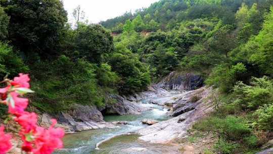 黄冈景区门票>                                           龙凤谷