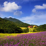 红池坝国家森林公园