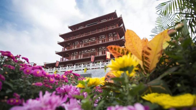 【周末怎么玩】趁着秋高气爽还不来毫州! - 亳州游记攻略【同程旅游攻略】