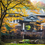 惠山古镇·寄畅园