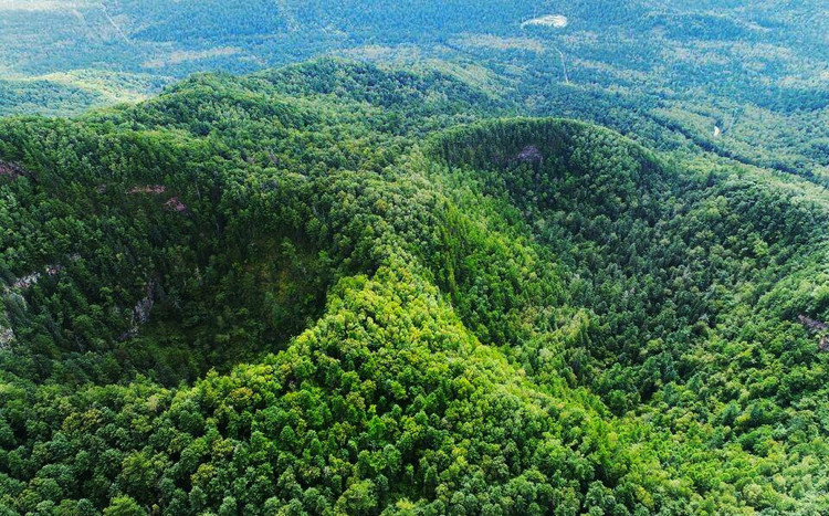 那一日,我迷失在火山口地下森林