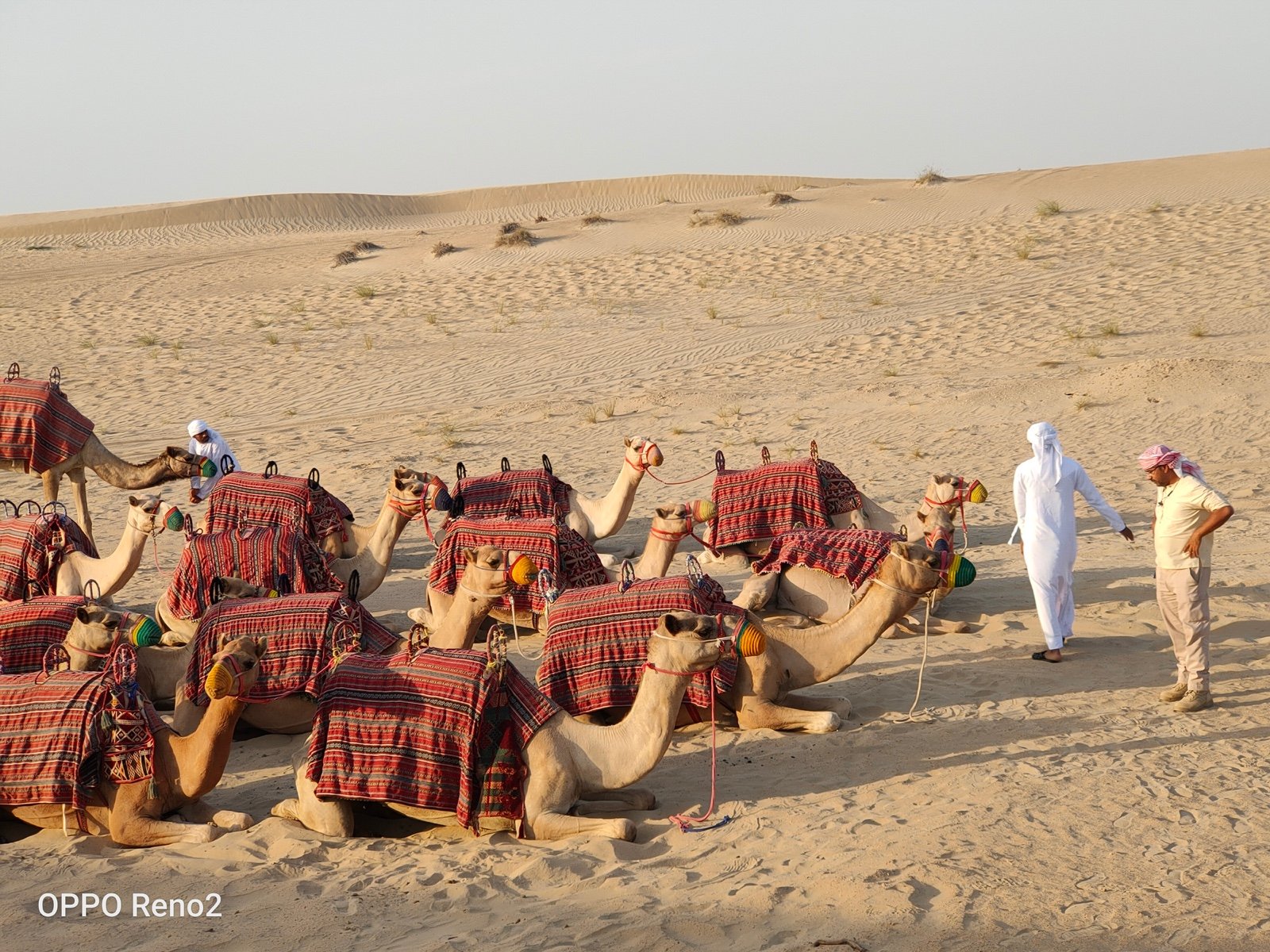 迪拜的理想与现实我看到的底层人民的生活_同程旅游攻略