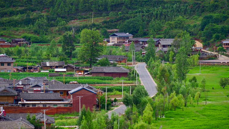 56个名族里虽然没有它,但我们却要聊聊关于