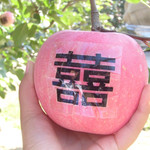 曹明蟒山苹果采摘园