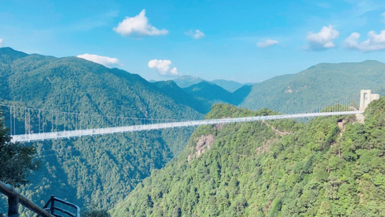 三百山景区门票