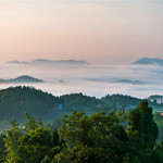 舜皇山森林公园
