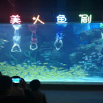 邯郸海洋世界
