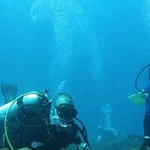 黄金海岸潜水俱乐部