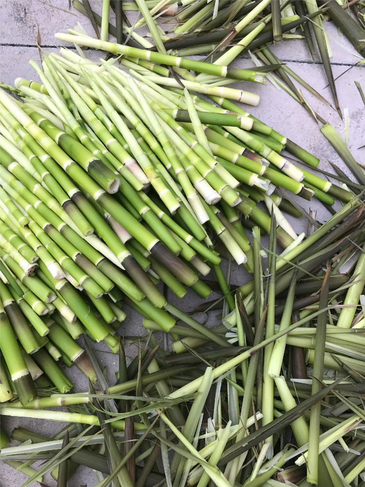 这个季节的野味你吃过几种?这6种是极品哦