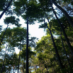 巴中章怀山旅游区