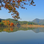 千岛湖龙川湾