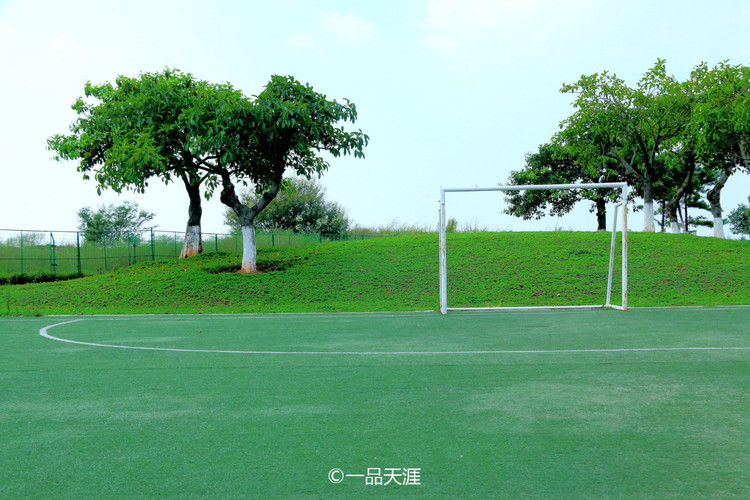 厦门 厦门醉美海岸线上的特色渔村小镇 中山华侨公园  被滨海东大道