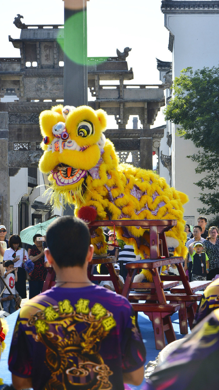 【醒狮文渊】住一宿枕水千岛湖,养生休闲游