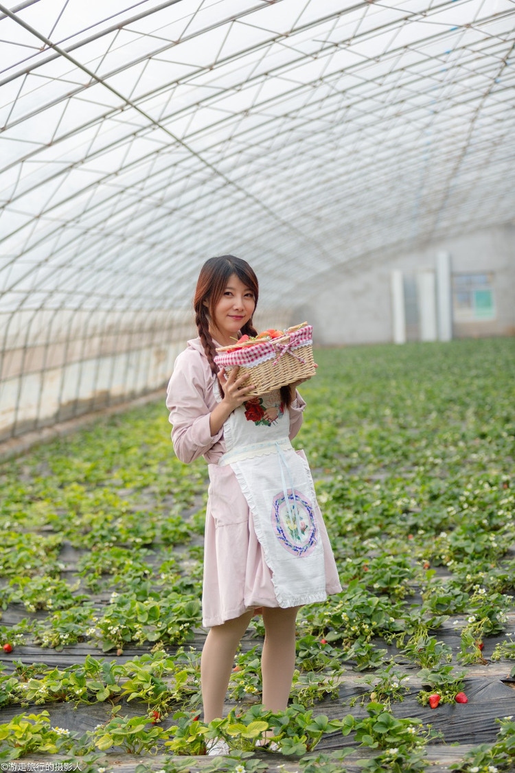 踏青摘草莓 与你共享济南张而的美好时光