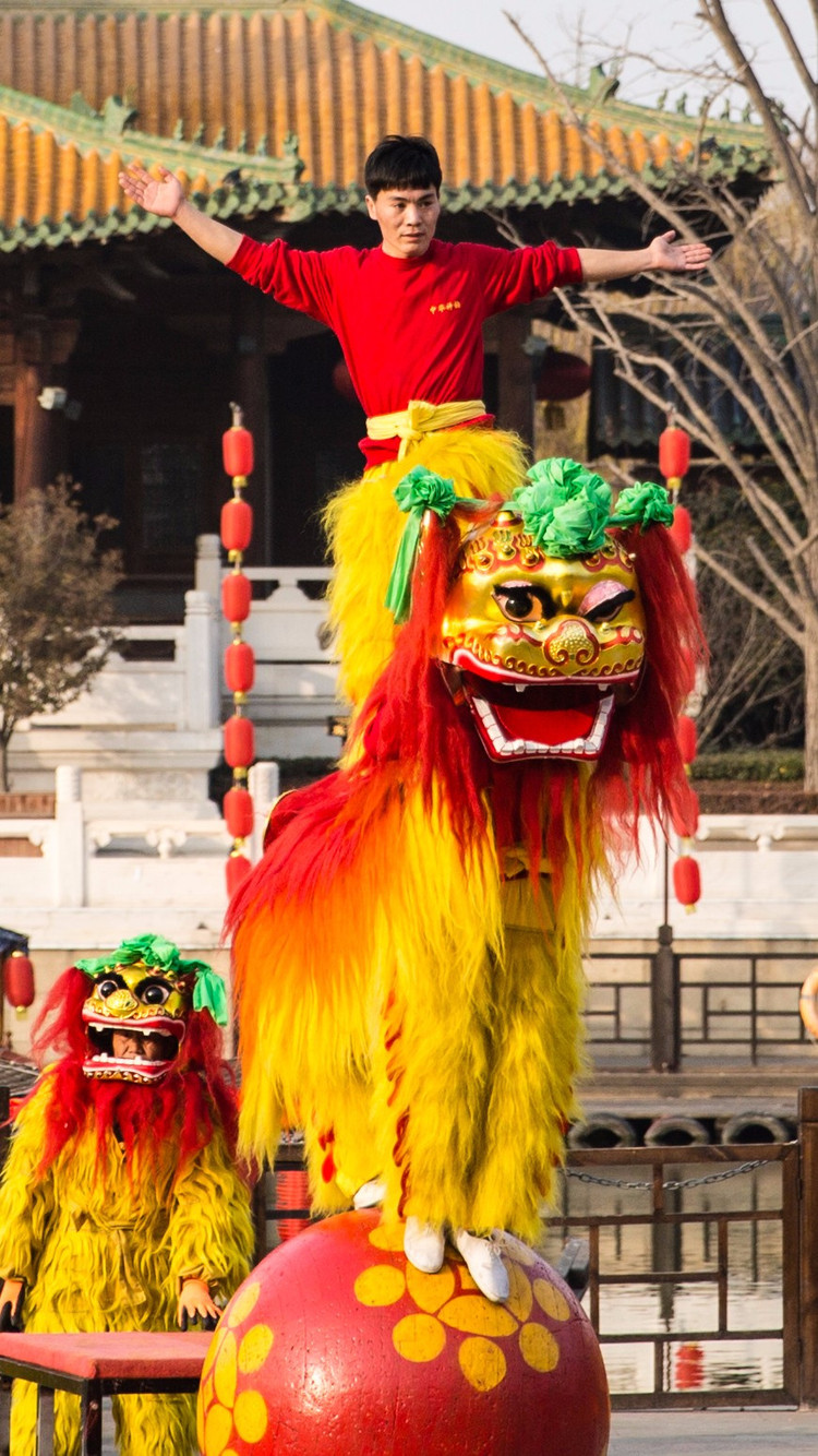 【南师北狮表演】