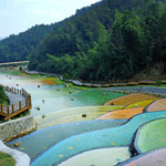 梅岭国家风景名胜区