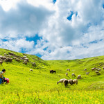 甘肃莲花山国家森林公园