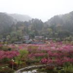 正安桃花源记景区